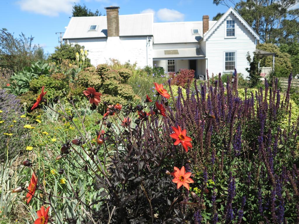 Robin Hoods Well Farm Stay Sassafras Exterior foto